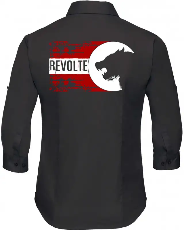 Bestickte langarm Damenbluse (H8-Front) Bild 2