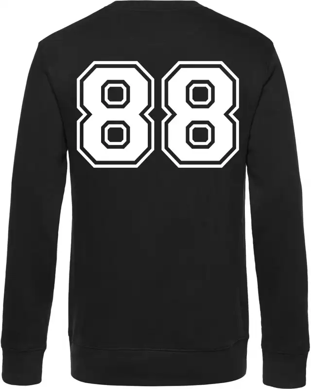 Herren Pullover (100% White) Bild 2