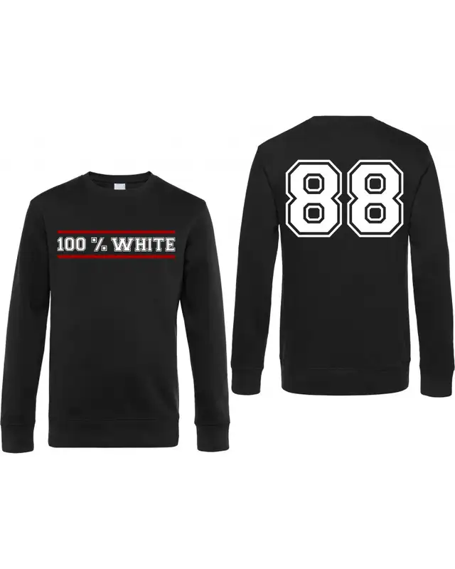 Herren Pullover (100% White) Bild 3