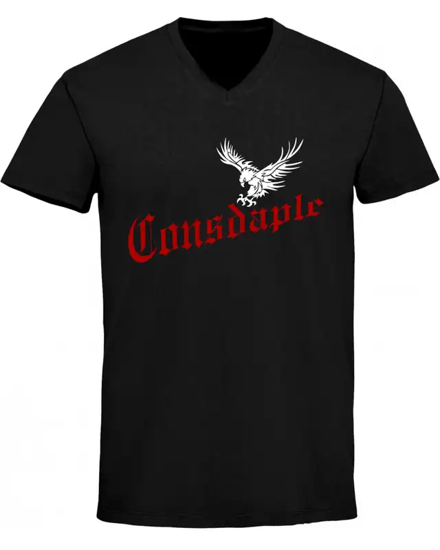 Herren V-Ausschnitt T-Shirt (Consdaple, Adler im Flug)