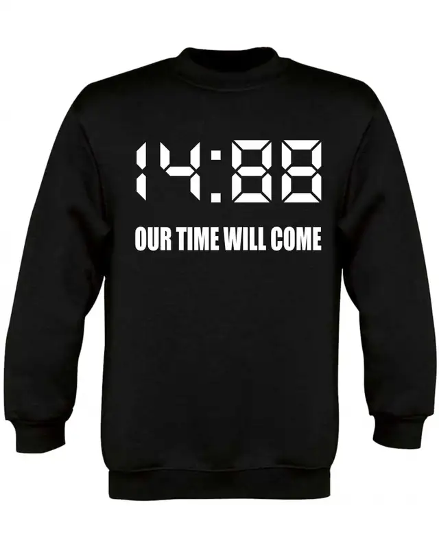 Kinder Pullover (1488 Our time will come)